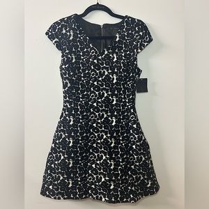 Zara Basic Collection Dress